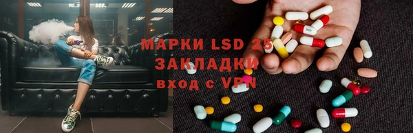 гидра Абаза