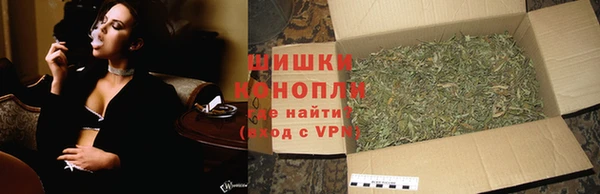 гидра Абаза