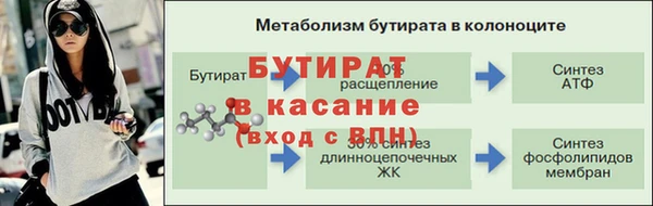 гидра Абаза