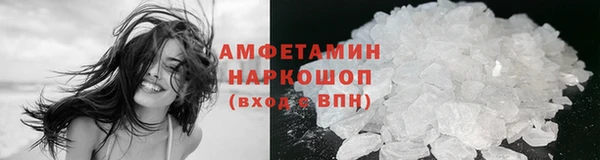 гидра Абаза