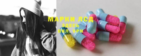 гидра Абаза