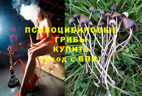 стафф Абдулино