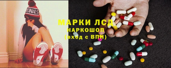 гидра Абаза