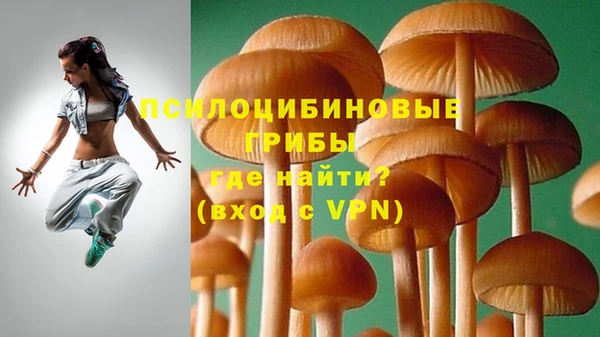 стафф Абдулино