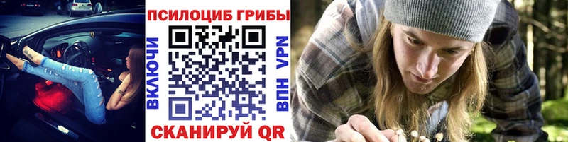 Галлюциногенные грибы Psilocybine cubensis где купить наркотик площадка наркотические препараты Электросталь